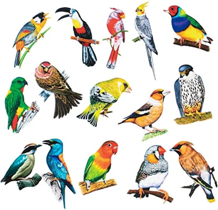 3D Art Crafts BiRdsWall Stickers  (pack of 8 pcs ) ZE Enterprises