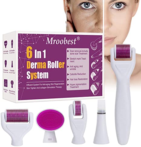 6 in 1 derma roller ZE Enterprises